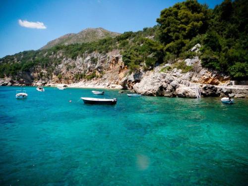  Apartment Drachenwurz in Orasac