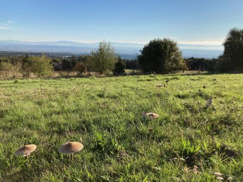 Domaine De Campras
