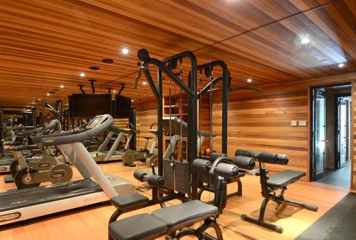 Phoenix Chalets by HHG, Hakuba (Foto 6)