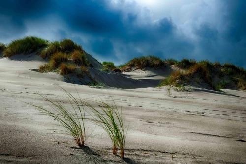 Insel-Land-Hotel Michaelsen