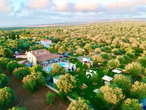One bedroom appartement with shared pool jacuzzi and enclosed garden at Sorso 2 km away from the beach