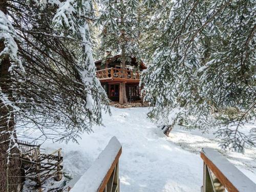 Treehouse on the Stream - image 2