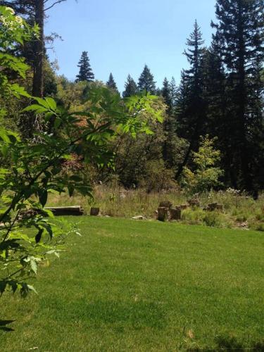 Cottage On The Stream Sundance, Utah Cottage On The Stream Sundance, Utah