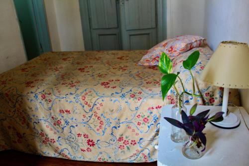 Hotel Bahia - image 5