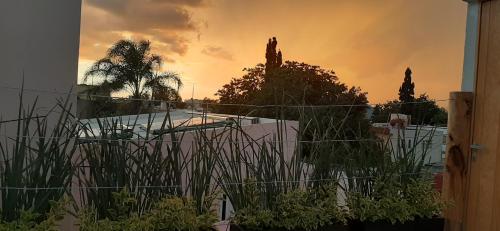 Apartments in Casa Iris Downtown, Luxury and Modern Coliving space in Querétaro, Mexico