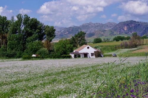 Holiday Home Finca Retama, Ronda (zdjęcie 5)
