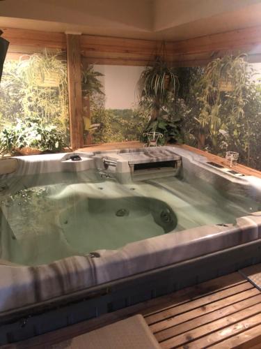 Hidden Valley B&B in Hiawassee, USA