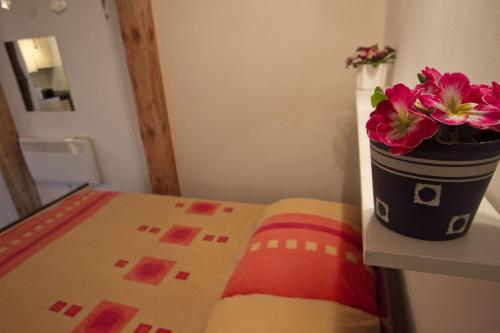 Apartmani Nighty Night - image 9