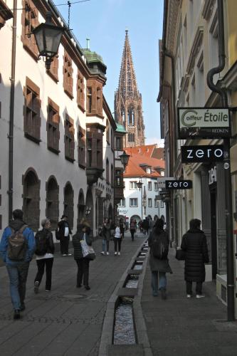 FeWo - Mitten In Freiburg in Freiburg im Breisgau, Deutschland