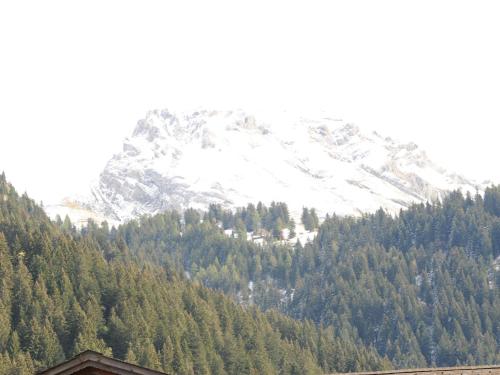 apartment in Lenk in Simmental Bernese Oberland