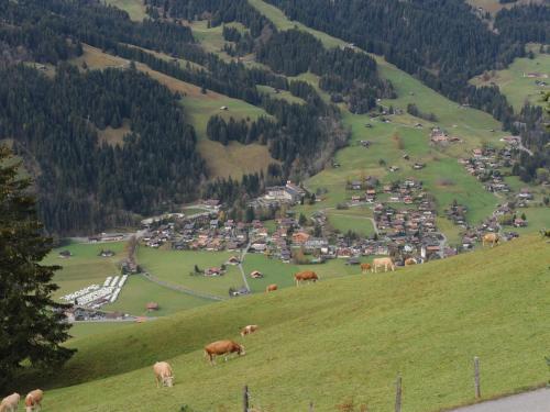 apartment in Lenk in Simmental Bernese Oberland