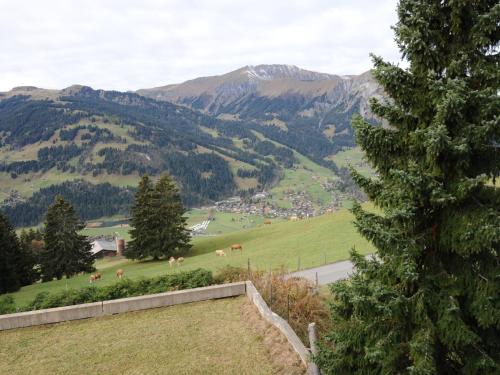 apartment in Lenk in Simmental Bernese Oberland