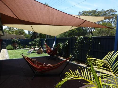 Garden, Aussitel Backpackers in Coffs Harbour
