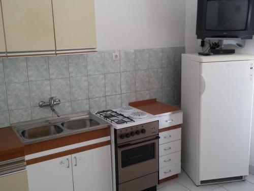  Spacious Apartment in Pag Dalmatia, Crotia in Stari Okić