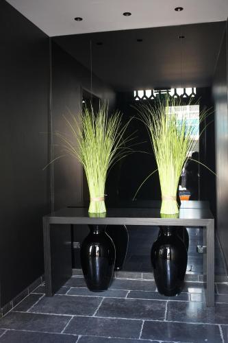 Hotel Domus 5