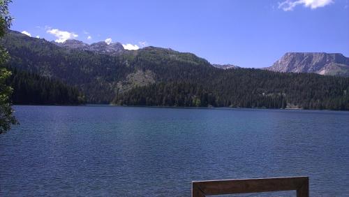 Guest House Milena Vučinić - image 10