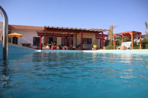 Terrasses vertes Terrasses vertes