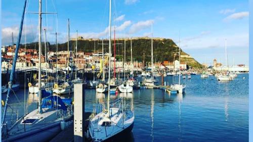 SEAVIEW - image 5