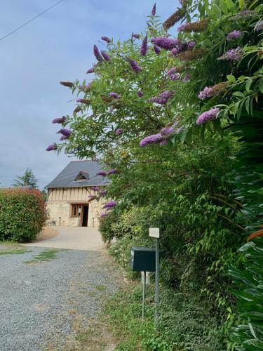 Le Logis de la Chouette