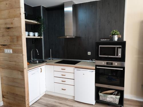 Apartamento El sarrio in Aisa