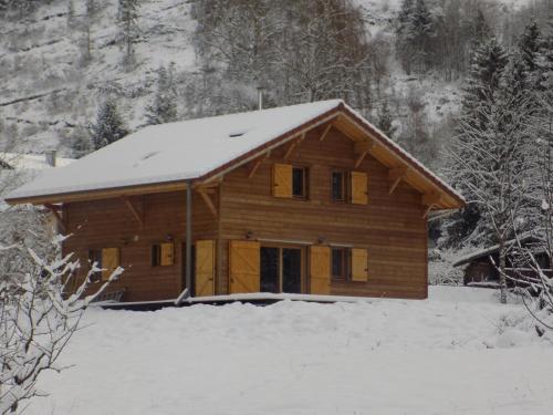 CHALET DES CHARBONNIERS AVEC ETANG - Chalet - St Maurice sur Moselle