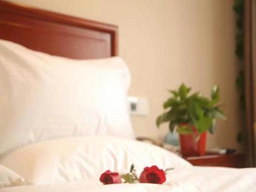 GreenTree Inn HeNan ShangQiu Normal College WenhuaWestRoad Business Hotel – Shangqiu, IN