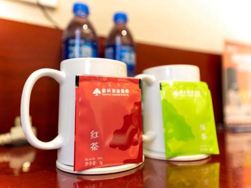 GreenTree Inn GanSu BaiYin East Bus Station LanBao Road Express Hotel