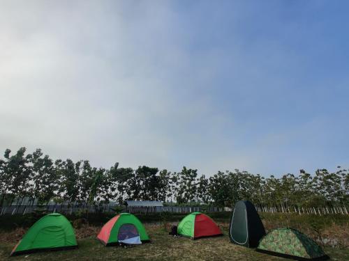Ganga Jamuna Agro Resort and Eco Camp