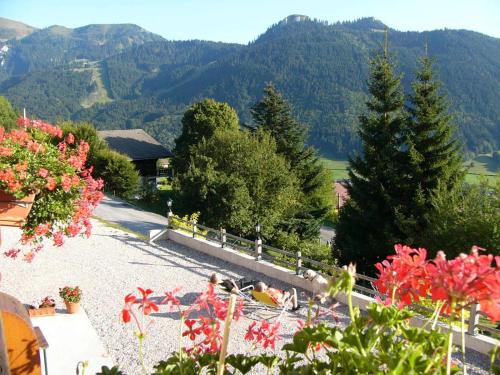 Chalet Gîte Le Titlis - image 10