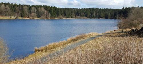 Waldsee-Ferienhaus-mit-Kamin-W-Lan - main image