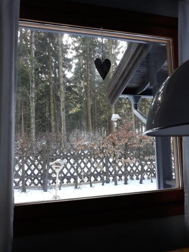 Waldsee-Ferienhaus-mit-Kamin-W-Lan - image 12