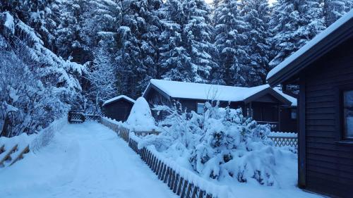 Waldsee-Ferienhaus-mit-Kamin-W-Lan - image 4