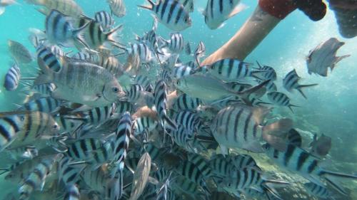 Baan Chan Lay Koh Chang thumbnail 3