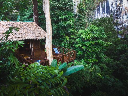 Our Jungle House เขาสก (สุราษฎร์ธานี)