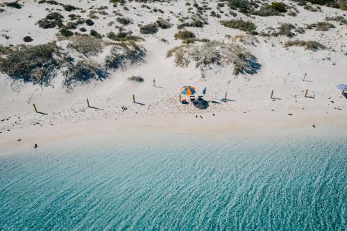 格納拉魯站-家園假日公園 (Gnaraloo Station - Homestead) in 卡那封
