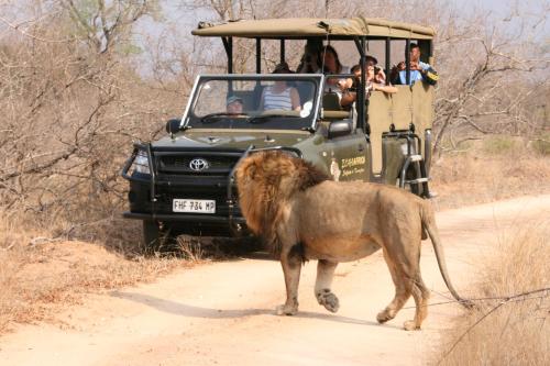 Nkambeni Safari Camp