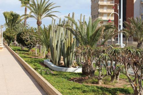 Apartamento Arenales - image 10