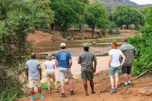 Nkula Camp - Pafuri Walking Safari's