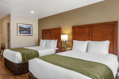 Comfort Inn