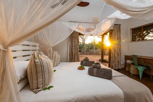 Baobab Hill Bush House photo 4
