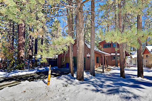 Gem of the Lake - Lovely Cabin Near Beach & Slopes home - main image