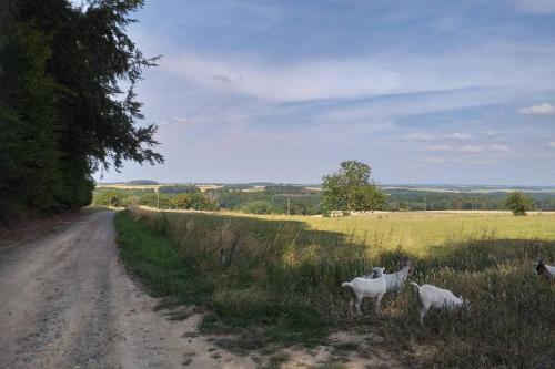 Gite de Miavoye, calme nature chaleur vue tennis