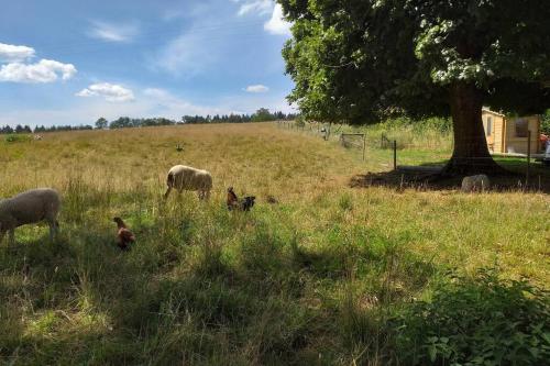 Gite de Miavoye, calme nature chaleur vue tennis