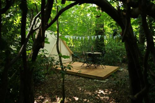 Hollington Park Glamping in Woolton Hill