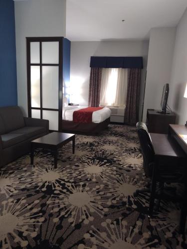 Comfort Suites Greenville - image 21