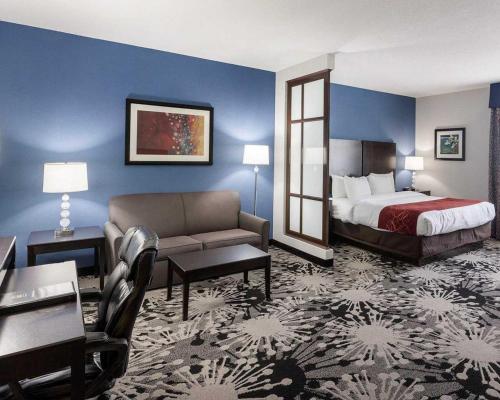Comfort Suites Greenville - image 20