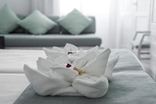 Hotel Bellavista Formentera - image 14