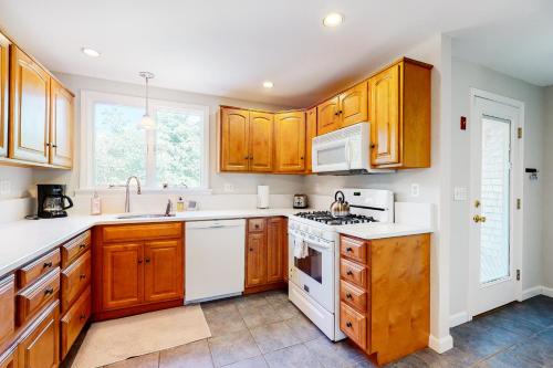 Sandy Forest - image 8
