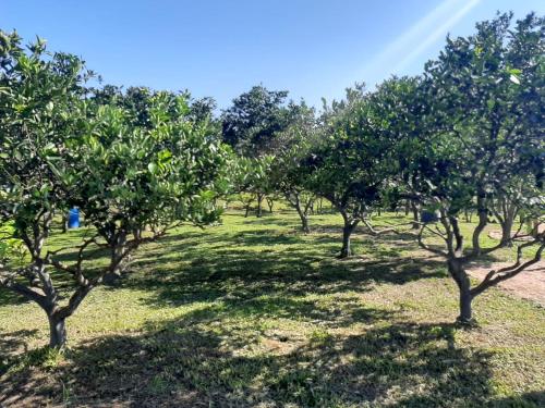 CASA DI PECORA - POUSADA RURAL