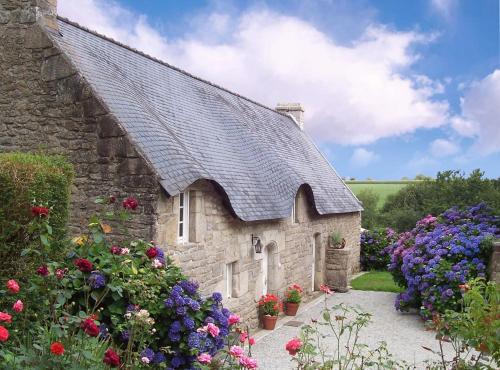 Domaine Bosquet des Lumières gîte à louer Kergonan